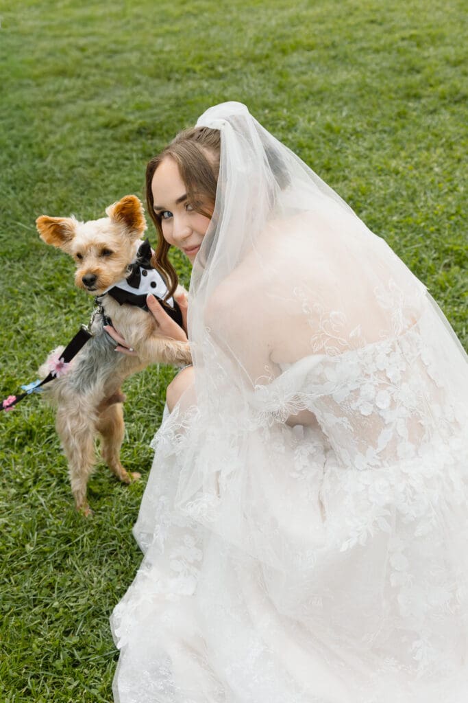Bride with her dog during wedding portraits
